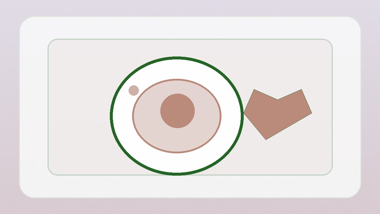 Balanced Family Meals: A Simple Guide to Nutrition at Every Age